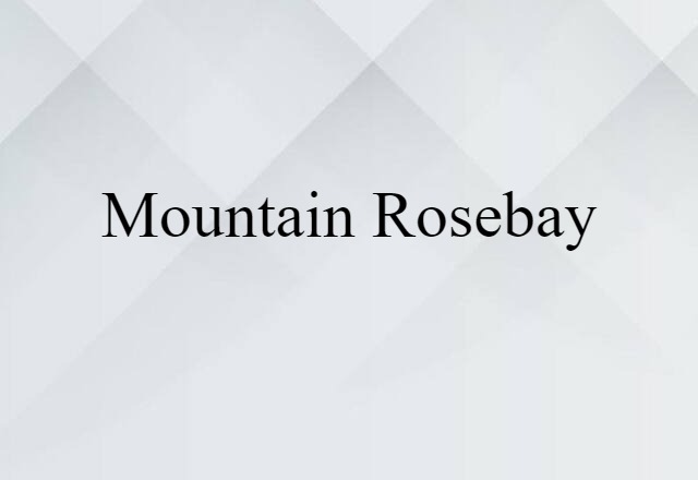 mountain rosebay