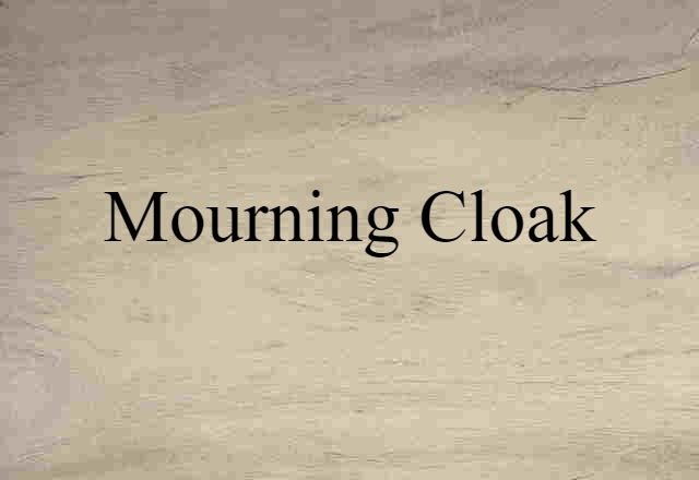 mourning cloak