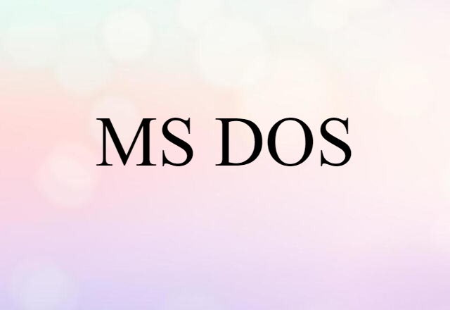 MS DOS