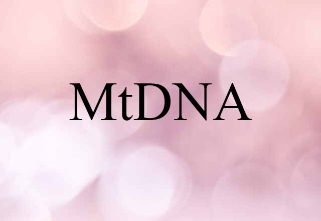 MtDNA (noun) Definition, Meaning & Examples