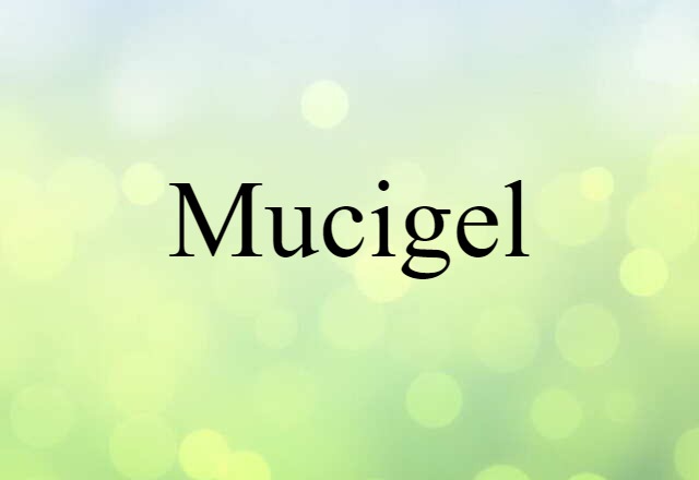 Mucigel (noun) Definition, Meaning & Examples