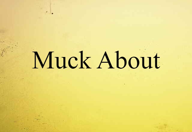 Muck About (noun) Definition, Meaning & Examples