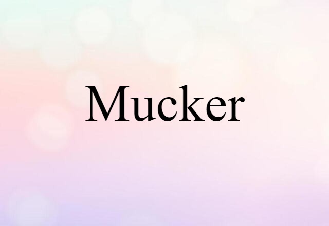 Mucker (noun) Definition, Meaning & Examples