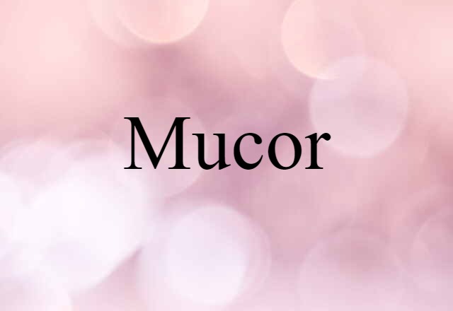 mucor