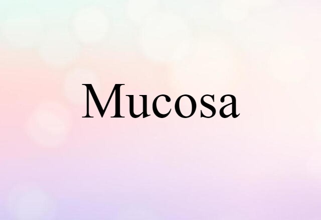 Mucosa (noun) Definition, Meaning & Examples