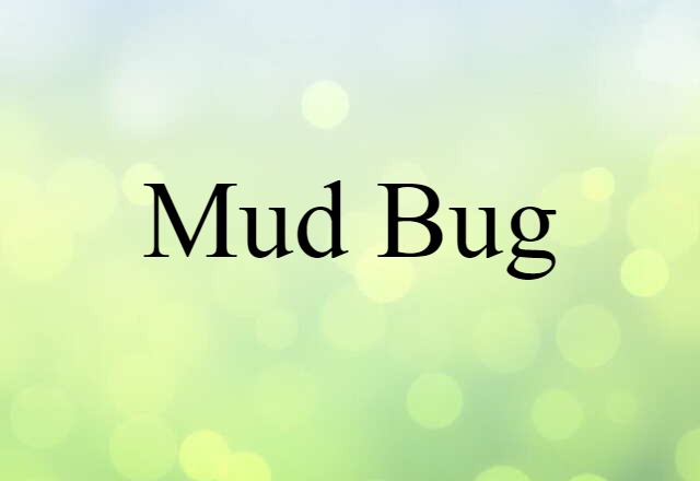 mud bug