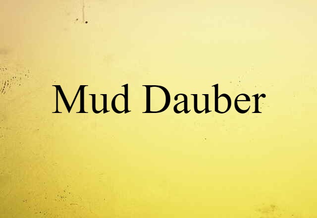 mud dauber