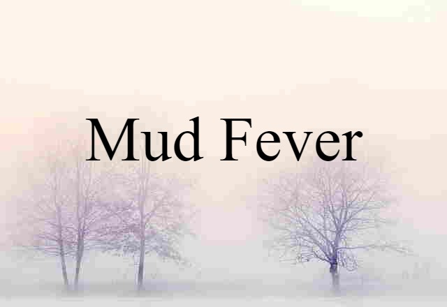 Mud Fever (noun) Definition, Meaning & Examples