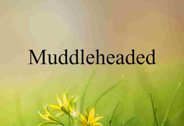 muddleheaded