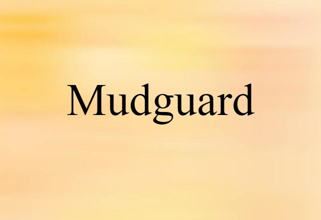 Mudguard (noun) Definition, Meaning & Examples