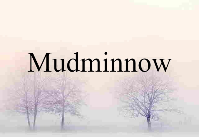 mudminnow