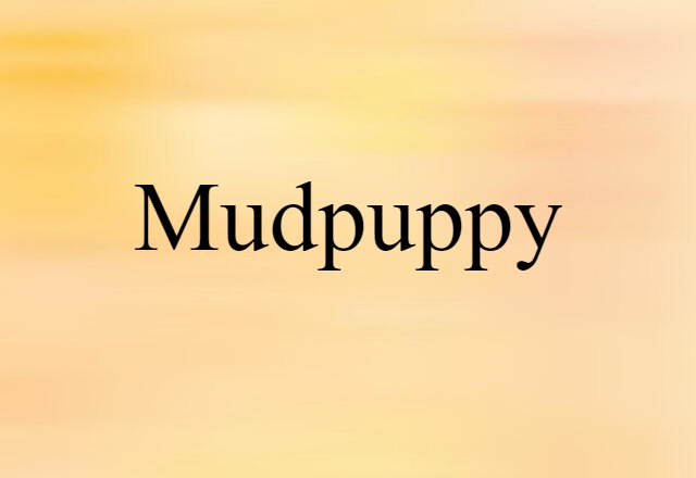 mudpuppy