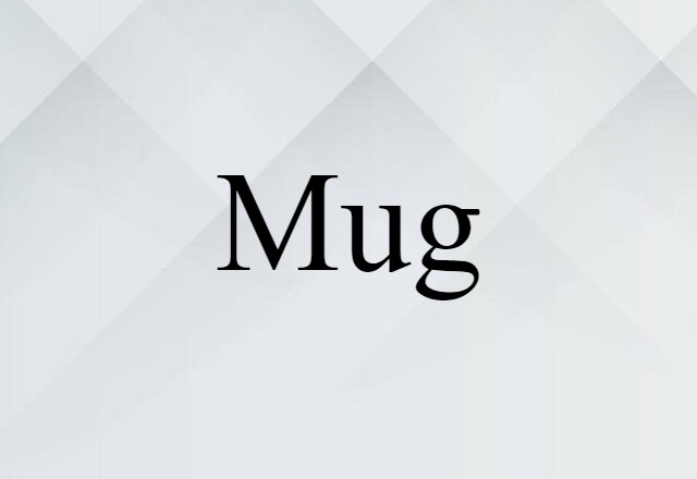 Mug (noun) Definition, Meaning & Examples