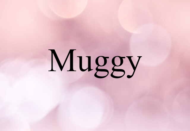 Muggy (noun) Definition, Meaning & Examples