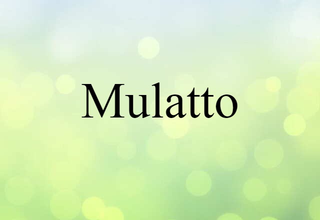 Mulatto (noun) Definition, Meaning & Examples