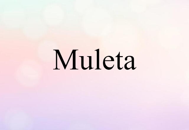 Muleta (noun) Definition, Meaning & Examples