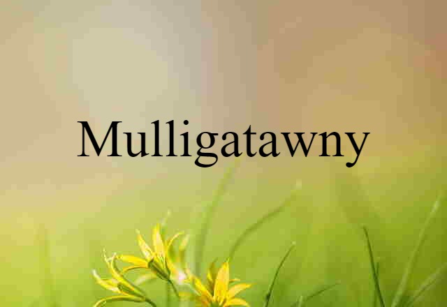 mulligatawny