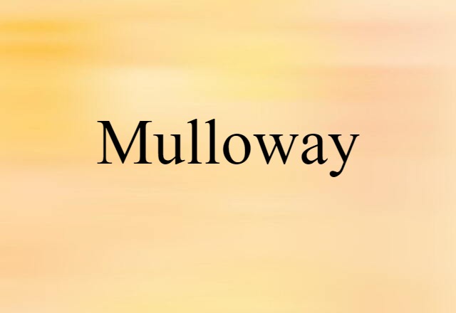 mulloway