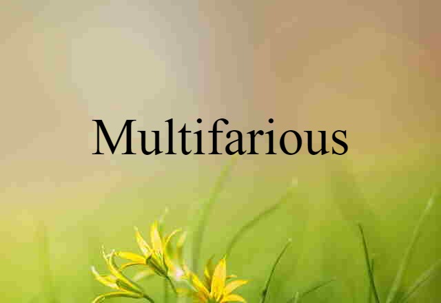 Multifarious (noun) Definition, Meaning & Examples