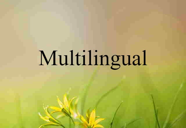 Multilingual (noun) Definition, Meaning & Examples