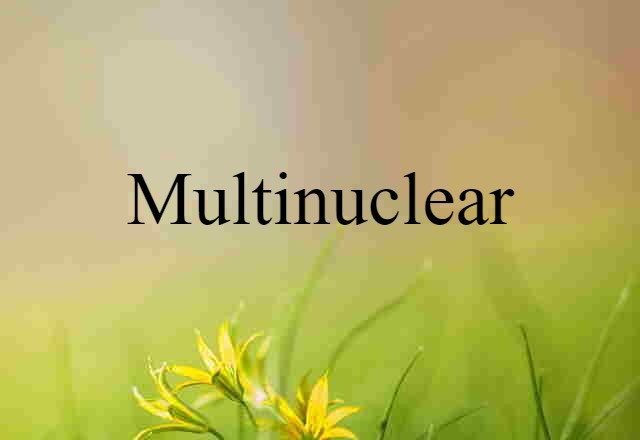 Multinuclear (noun) Definition, Meaning & Examples