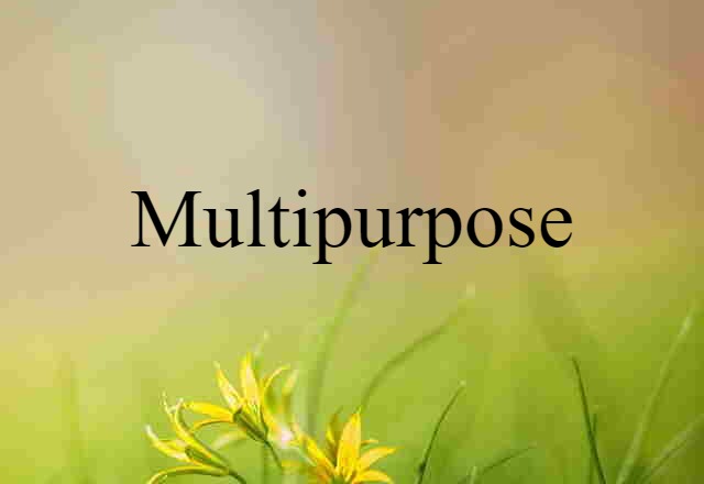 Multipurpose (noun) Definition, Meaning & Examples