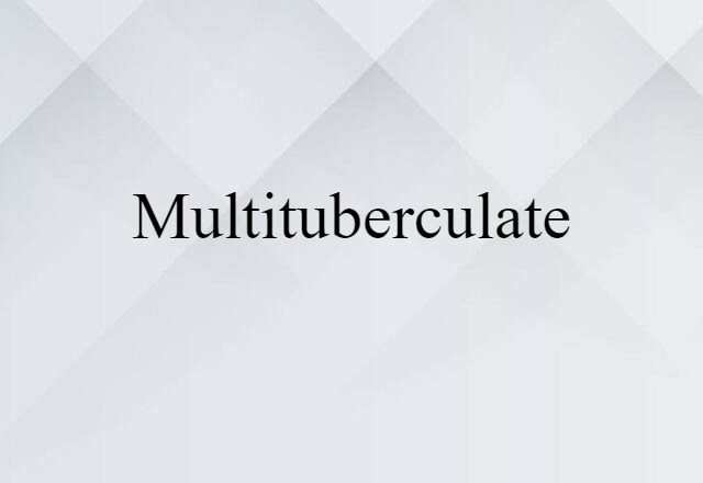 Multituberculate (noun) Definition, Meaning & Examples