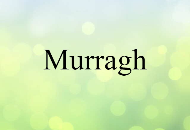 Murragh (noun) Definition, Meaning & Examples