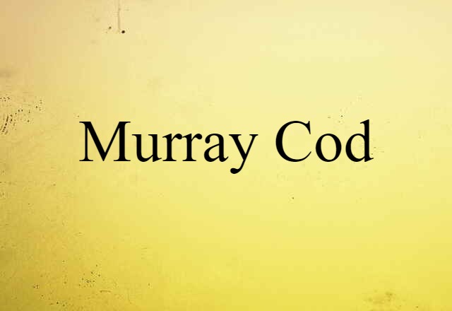 Murray cod