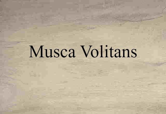 Musca Volitans (noun) Definition, Meaning & Examples