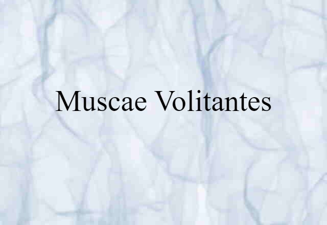 muscae volitantes