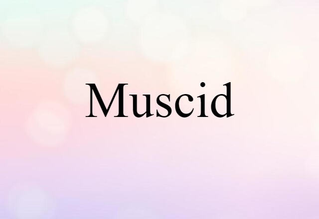 muscid