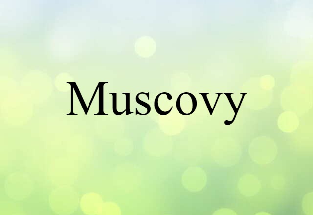 Muscovy