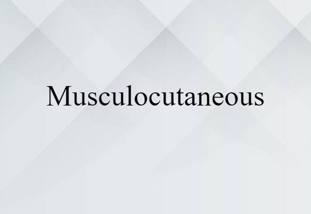 musculocutaneous