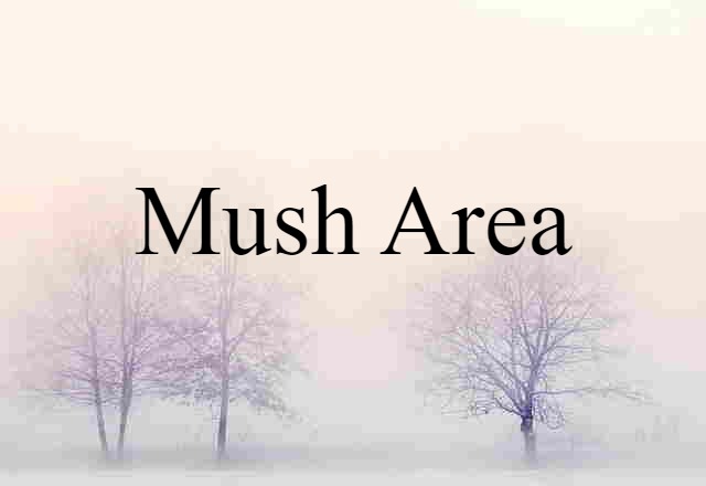 Mush Area (noun) Definition, Meaning & Examples