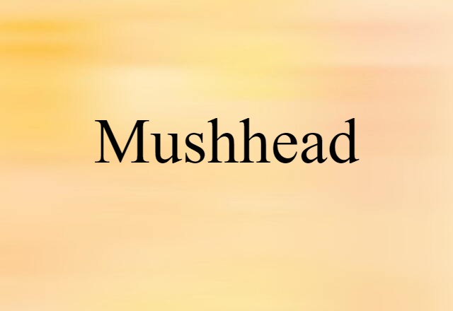 Mushhead (noun) Definition, Meaning & Examples