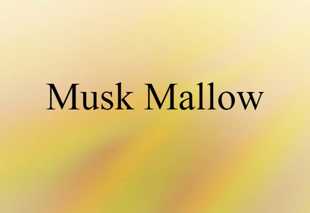 Musk Mallow (noun) Definition, Meaning & Examples