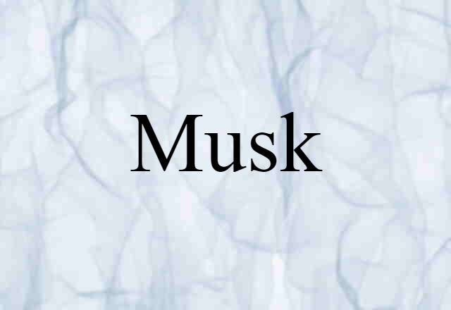 musk