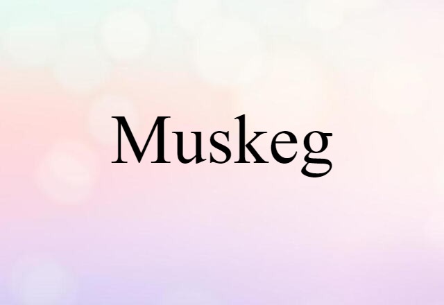 muskeg