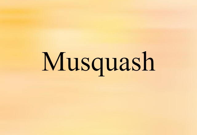 Musquash (noun) Definition, Meaning & Examples