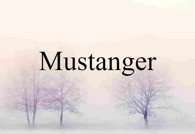 Mustanger (noun) Definition, Meaning & Examples