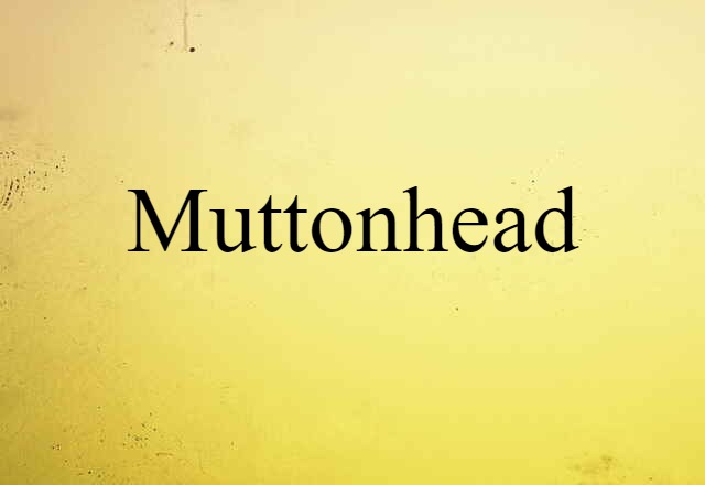 Muttonhead (noun) Definition, Meaning & Examples