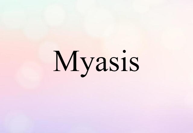 myasis