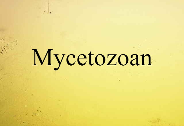 Mycetozoan (noun) Definition, Meaning & Examples