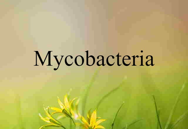 Mycobacteria (noun) Definition, Meaning & Examples