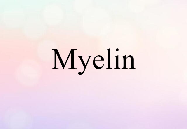 myelin