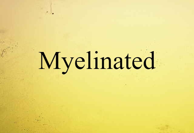 Myelinated (noun) Definition, Meaning & Examples