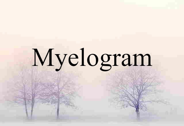 Myelogram (noun) Definition, Meaning & Examples