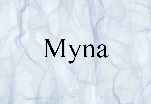 Myna (noun) Definition, Meaning & Examples