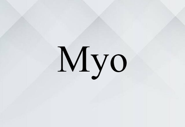 Myo (noun) Definition, Meaning & Examples